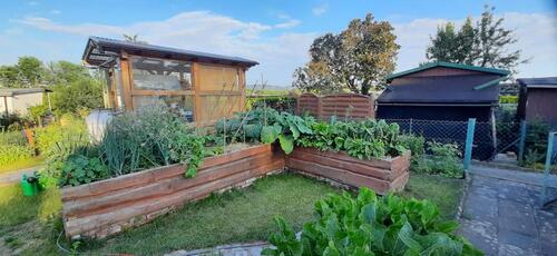 Foto - Kleingarten mit Laube, XXL- Gewächshaus und XXL-Hochbeet