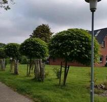 Haus mit Fachwerk.2 Einheiten oben und unten.+Ferienhaus - Wingst