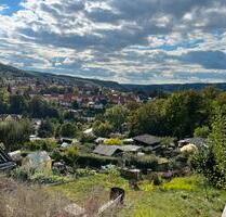 Traumgarten in Freital – Kleingarten „Volksgesundheit