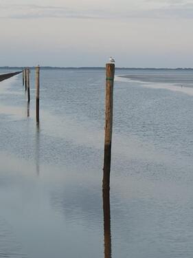 Foto - FerienwohnungNordsee Urlaub 2026 - ohne Hund