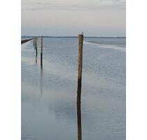 FerienwohnungNordsee Urlaub 2026 - ohne Hund - Wittmund