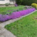Foto - Wohnhaus, Scheune, Garage, Garten
