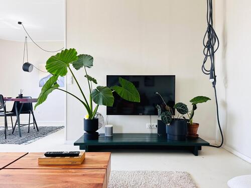 Foto - 2 Zimmer Etagenwohnung zur Miete in Berlin