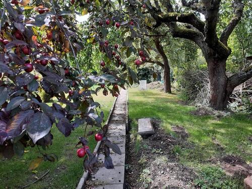 Foto - Garten zu verpachten Lohfelden Vollmarshausen