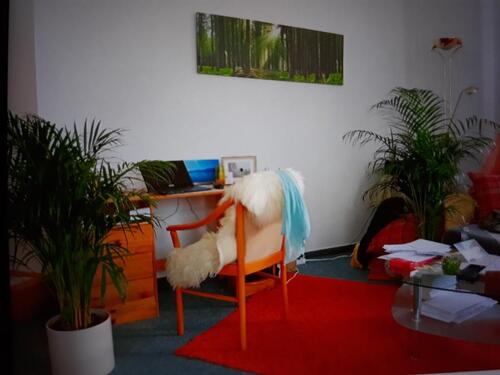 Foto - Schöne 1-Zimmer-Wohnung in ruhiger und zentraler Lage – ab 01.09.