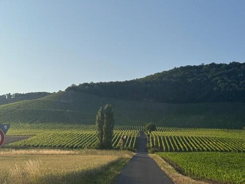 Foto - Große Ferienwohnung im fränkischen Kitzingen für 1 - 6 Personen