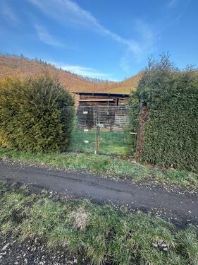 Foto - Grundst&uuml;ck in Bad Kreuznach