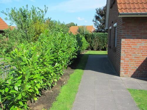 Foto - andere in Dortmund zur Miete