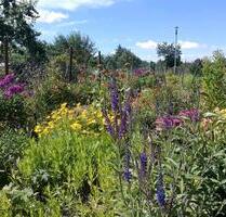 Kleingarten Naschgarten Familiengarten Schrebergarten - Sanitz
