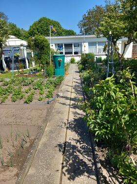 Foto - Sonniger Pachtgarten in Ribnitz mit Steinhaus abzugeben