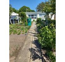 Sonniger Pachtgarten in Ribnitz mit Steinhaus abzugeben - Ribnitz-Damgarten