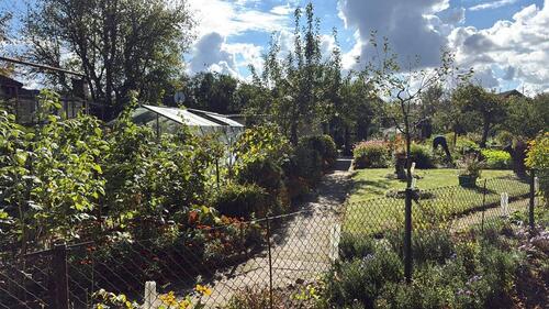 Foto - Grundst&uuml;ck in Papendorf