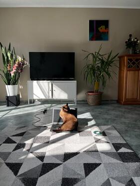 Foto - Haus zu vermieten, 4Z, 125qm, 1800qm Garten