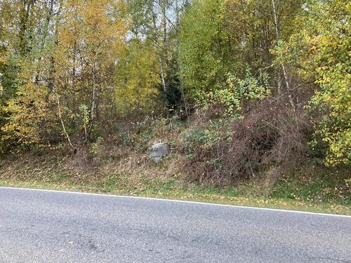 Foto - Einfamilienhaus zum Kaufen in Neukirchen bei Heiligen Blut