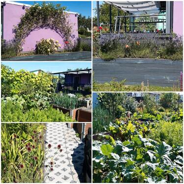 Foto - Grundstück zur Miete in Bentwisch