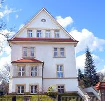 Vermiete Einraum-Wohnung in Dresden, Uni-Nähe, provisionsfrei