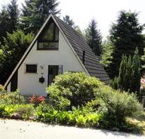 Ferienhaus in Schneverdingen, Lüneburger Heide, mit Hund