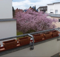 Ideal für Paare, Familien & WGs - mit Balkon und Tiefgarage - Regensburg Brandlberg