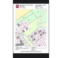 2 Häuser mit Grundstück 6.200 qm - Bispingen