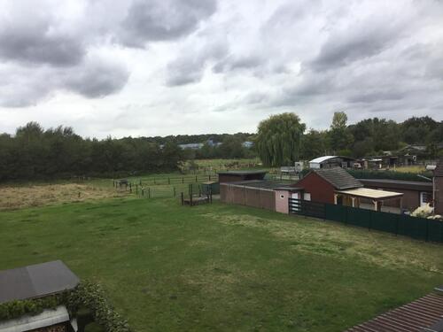 Foto - Etagenwohnung zur Miete in Recklinghausen