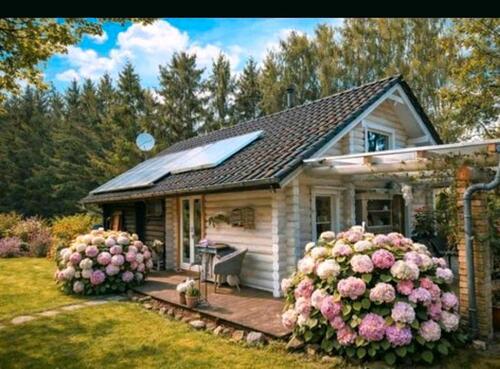 Foto - Blockhaus off grid Waldgrundstück