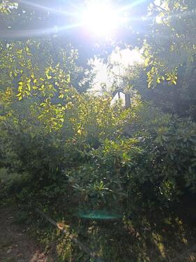 Foto - 