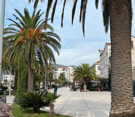 Foto - Studio Apartment in Montenegro Tivat
