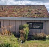 Traumurlaub im 6-Personen-Ferienhaus in ZeelandNL nähe Breskens - Losheim am See
