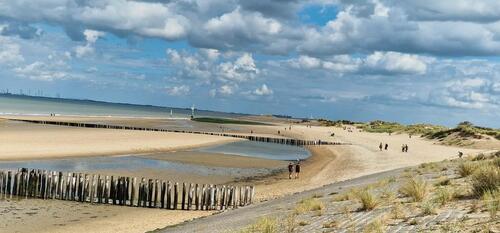 Foto - andere in Losheim am See