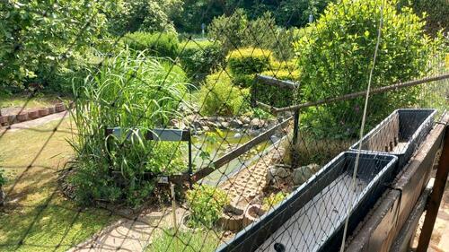 Foto - Grundst&uuml;ck zur Miete in Gerbstedt