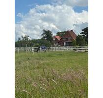 Für Selbstversorger & Tierliebhaber - Adelsheim