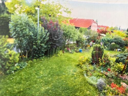 Foto - 2 Zimmer Etagenwohnung in Braunschweig