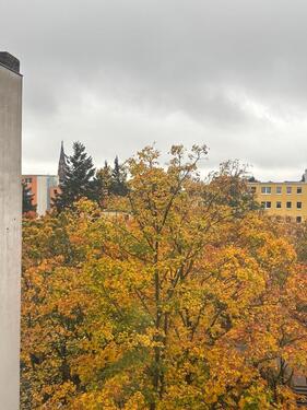 Foto - Helle ruhige möblierte 2-Zimmerwohnung im Wedding zur Untermiete