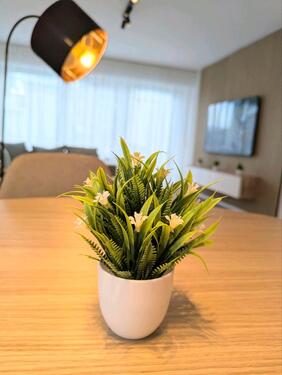 Foto - Etagenwohnung in Bad Wörishofen zur Miete