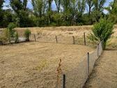 Foto - Einfamilienhaus in Egeln zum Kaufen