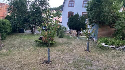 Foto - 3 Zimmer Etagenwohnung zur Miete in Meiningen