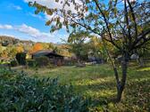 Foto - Schrebergarten abzugeben - 3.600,00 EUR Kaltmiete, ca.  0,00 m²