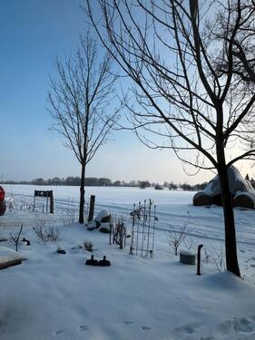 Foto - 3 Zimmer Etagenwohnung in Barnstorf