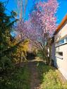 Foto - Einfamilienhaus im Bungalow-Stil in traumhafter Lage in Lostau