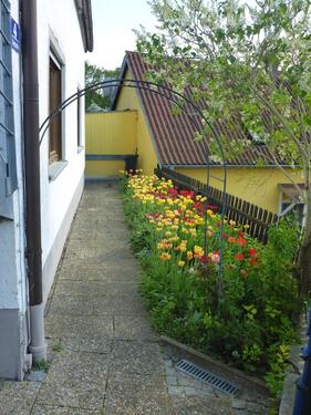 Foto - 2 Zimmer Erdgeschoßwohnung in Duggendorf