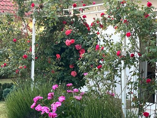Foto - Einfamilienhaus in Minden zur Miete