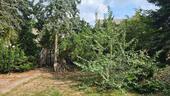 Foto - Reihenhaus in Gräfenhainichen zum Kaufen