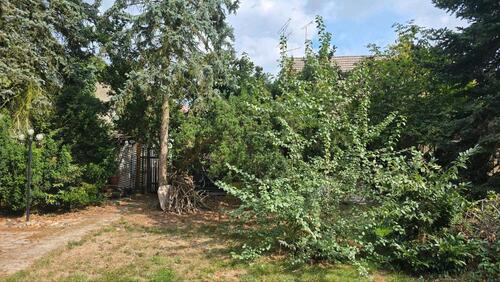 Foto - Reihenhaus in Gräfenhainichen zum Kaufen