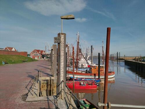 Foto - Ditzum ebenerdige Fewo Urlaub Ferienwohnung Ostfriesland