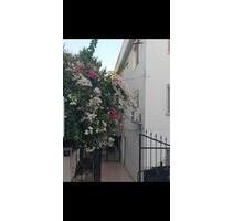 Gemütliche 3 Zimmer-Wohnung in Strandnähe – Çamlık, Didim (Top-La - Hagen Hagen-Mitte