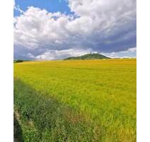 Doppelhaushälfte zu vermieten - 900,00&nbsp;EUR Kaltmiete, ca.&nbsp; 150,00&nbsp;m&sup2; in Bad Breisig (PLZ: 53498)