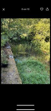 Foto - Einfamilienhaus in Windeck zum Kaufen