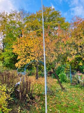 Foto - Grundstück zur Miete in Hildesheim