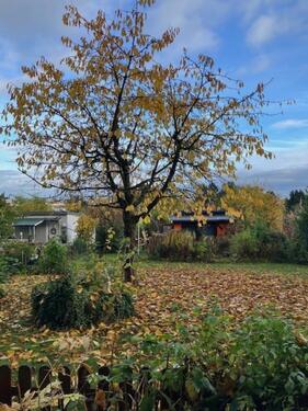 Foto - Grundstück in Hildesheim