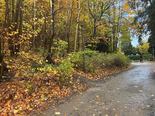 Foto - Etagenwohnung in Bad Harzburg